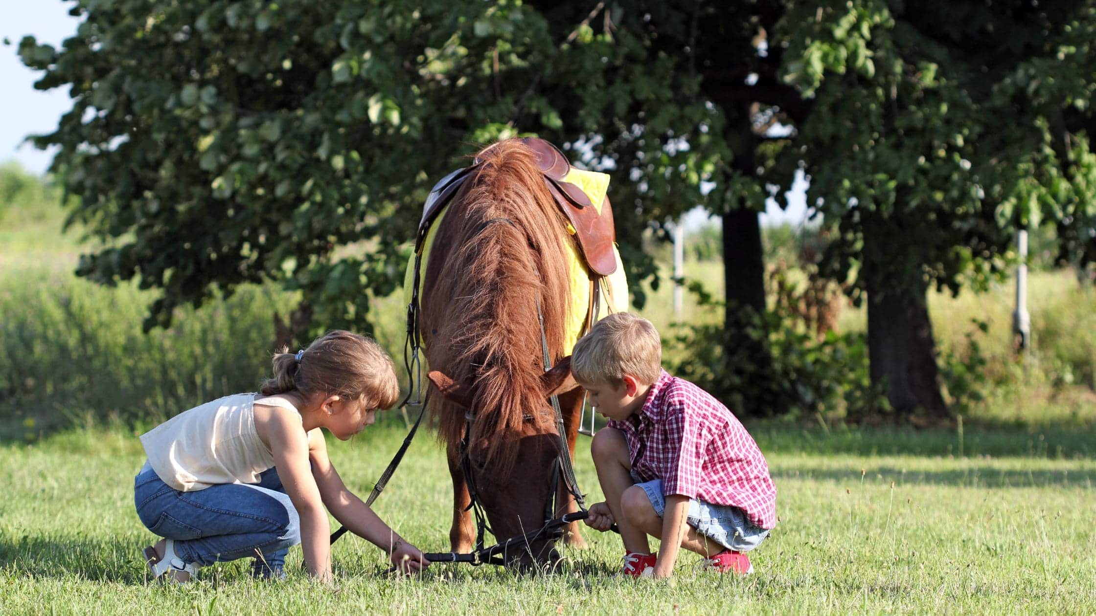 Fattoria didattica - Perché aprire le porte dell’azienda agricola ai bambini